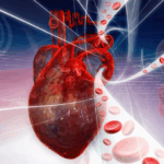 Nutrisi Seimbang untuk Menjaga Detak Jantung yang Sehat