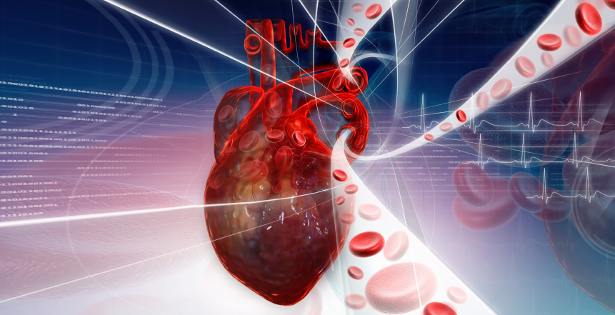 Nutrisi Seimbang untuk Menjaga Detak Jantung yang Sehat